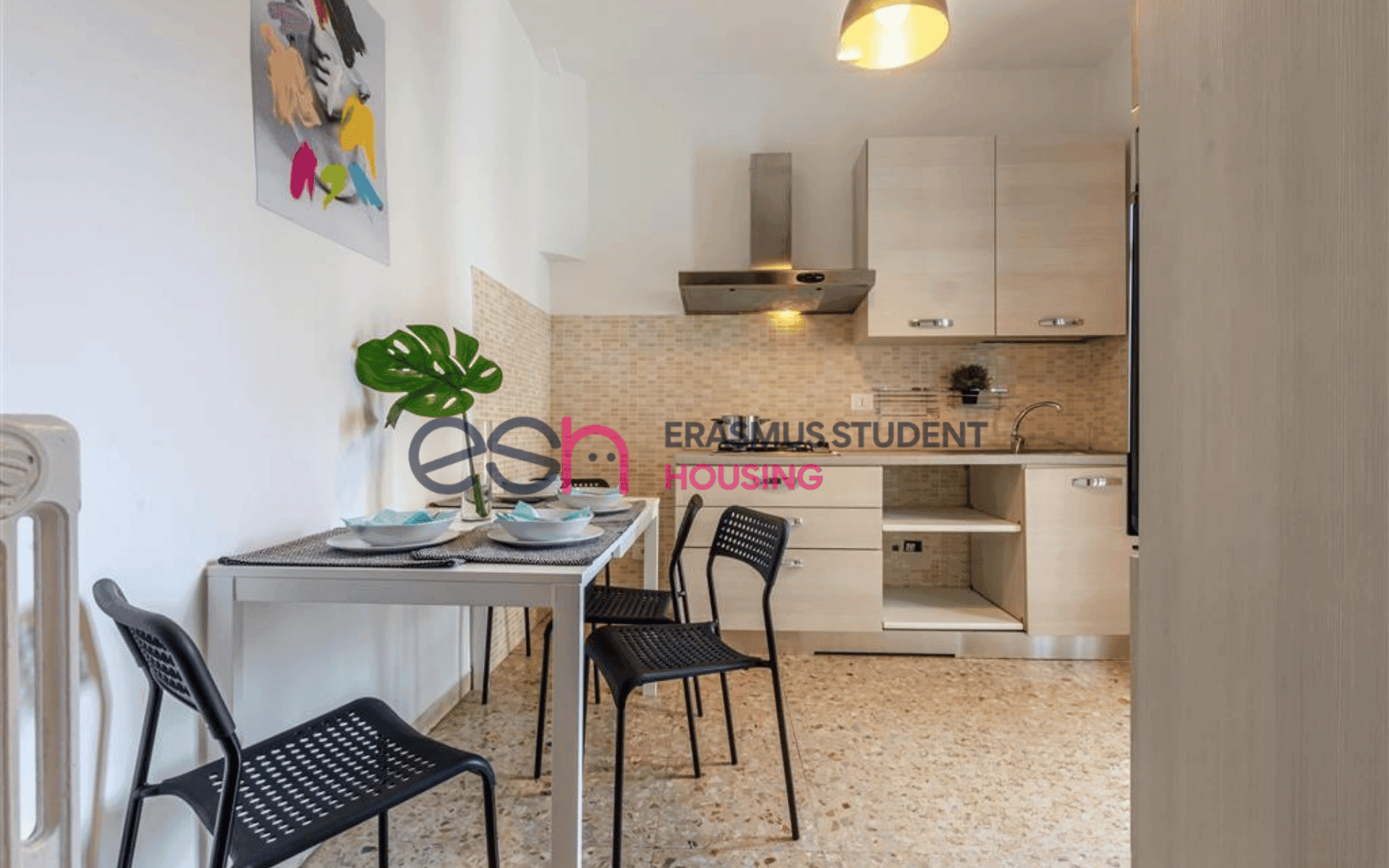 Habitación privada en Pisa photo 4