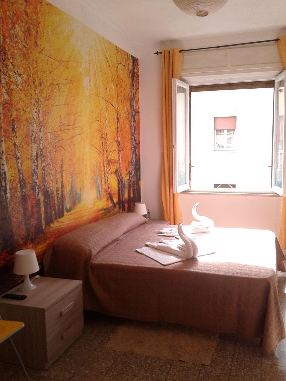 Habitación privada en Pisa photo 4